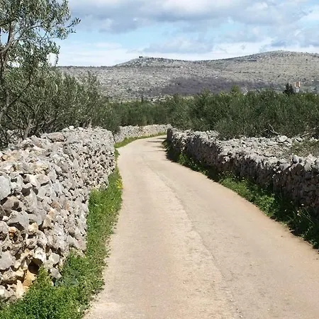 Osibova Milna (Brac)